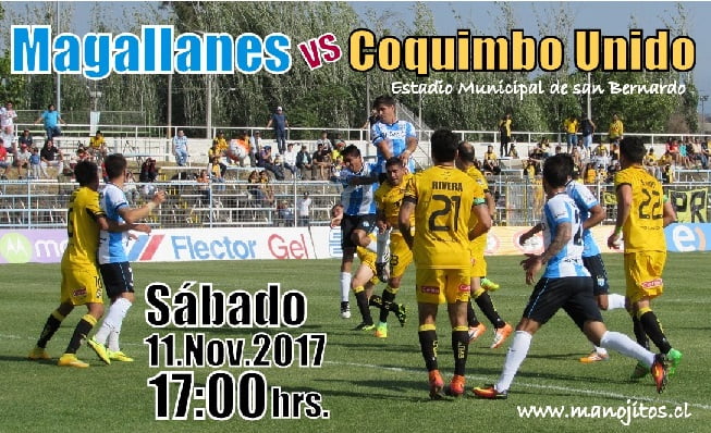 magallanes campeon hinchas 2017