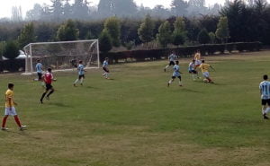 REVIVE LOS TRIUNFOS DE LA SUB 15 Y 16 DE MAGALLANES A SAN FELIPE 3