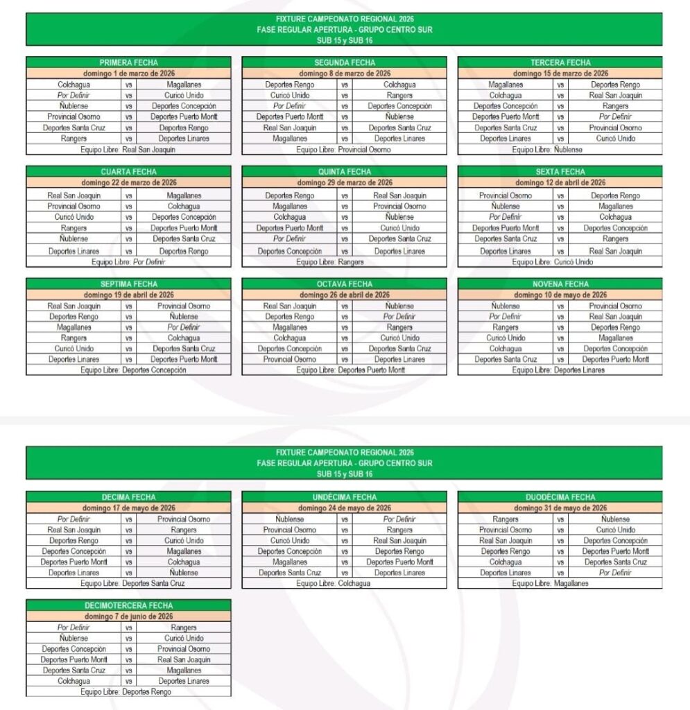 El fútbol joven vuelve en marzo: Revelan fixture de los torneos formativos en que participará Magallanes 2