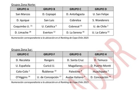 Santa Cruz, Palestino y Audax: filtran posible grupo de Magallanes en la Copa Chile 2026 2